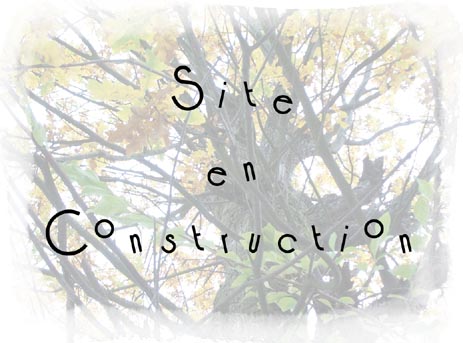 Page en construction